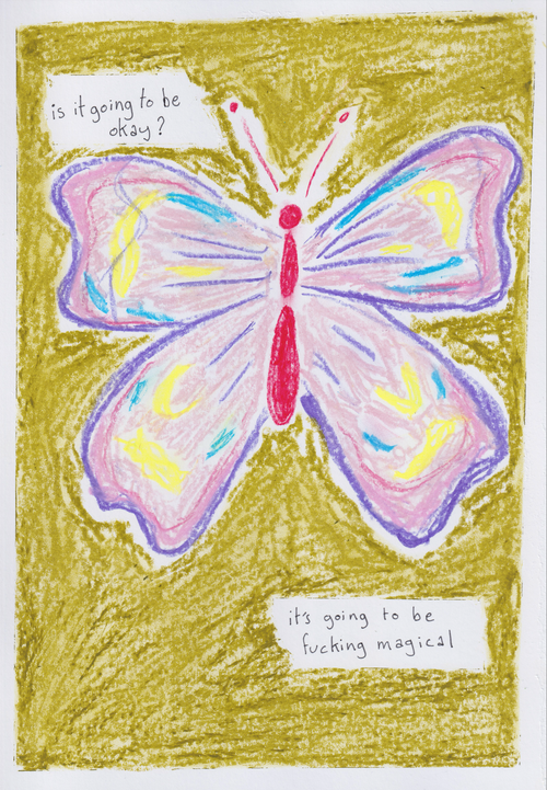 ok butterfly!